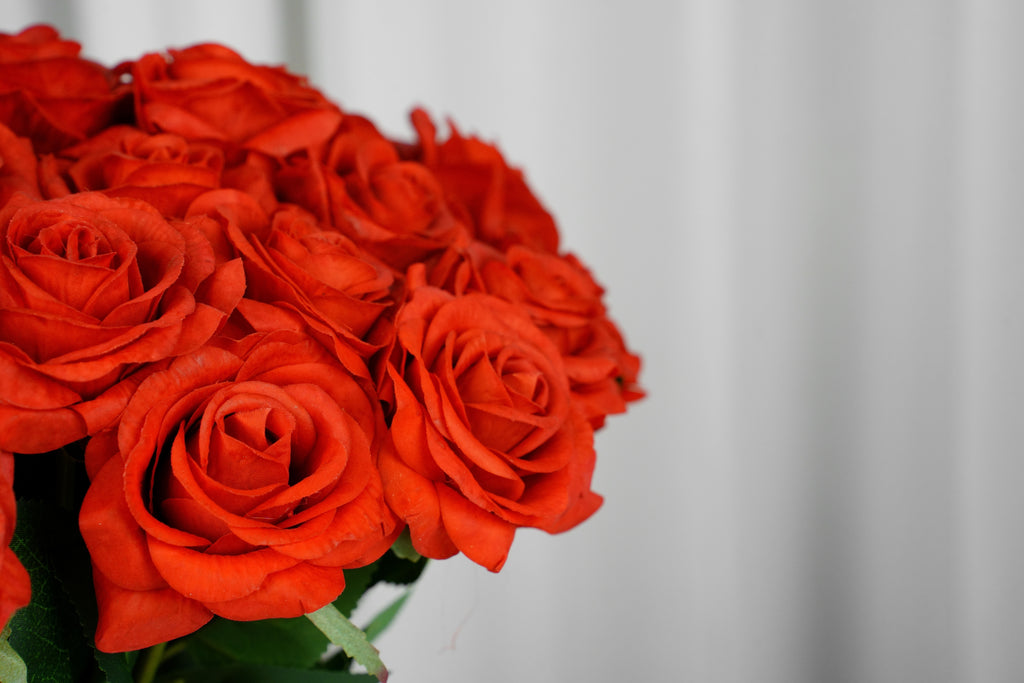 Rosalie Petite Rose Stem, 45 cm