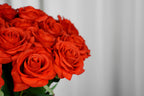 Rosalie Petite Rose Stem, 45 cm