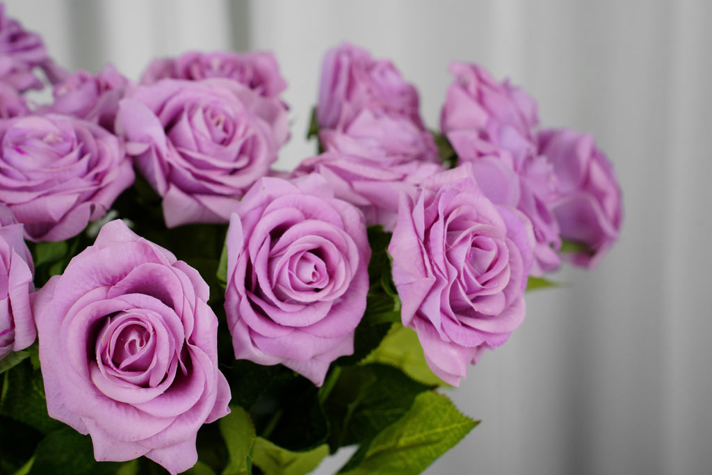 Rosalie Petite Rose Stem, 45 cm