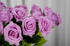 Rosalie Petite Rose Stem, 45 cm
