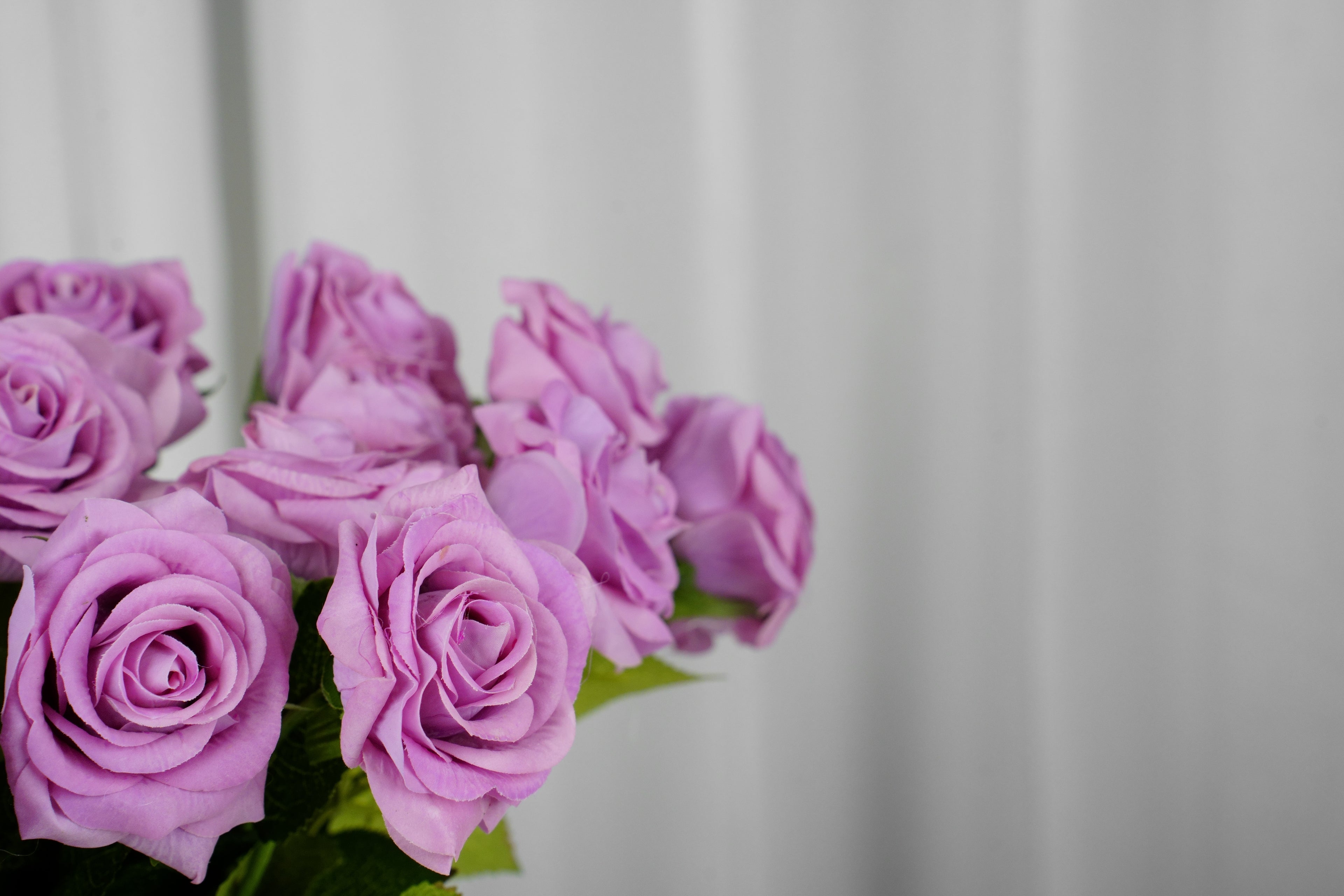 Rosalie Petite Rose Stem, 45 cm