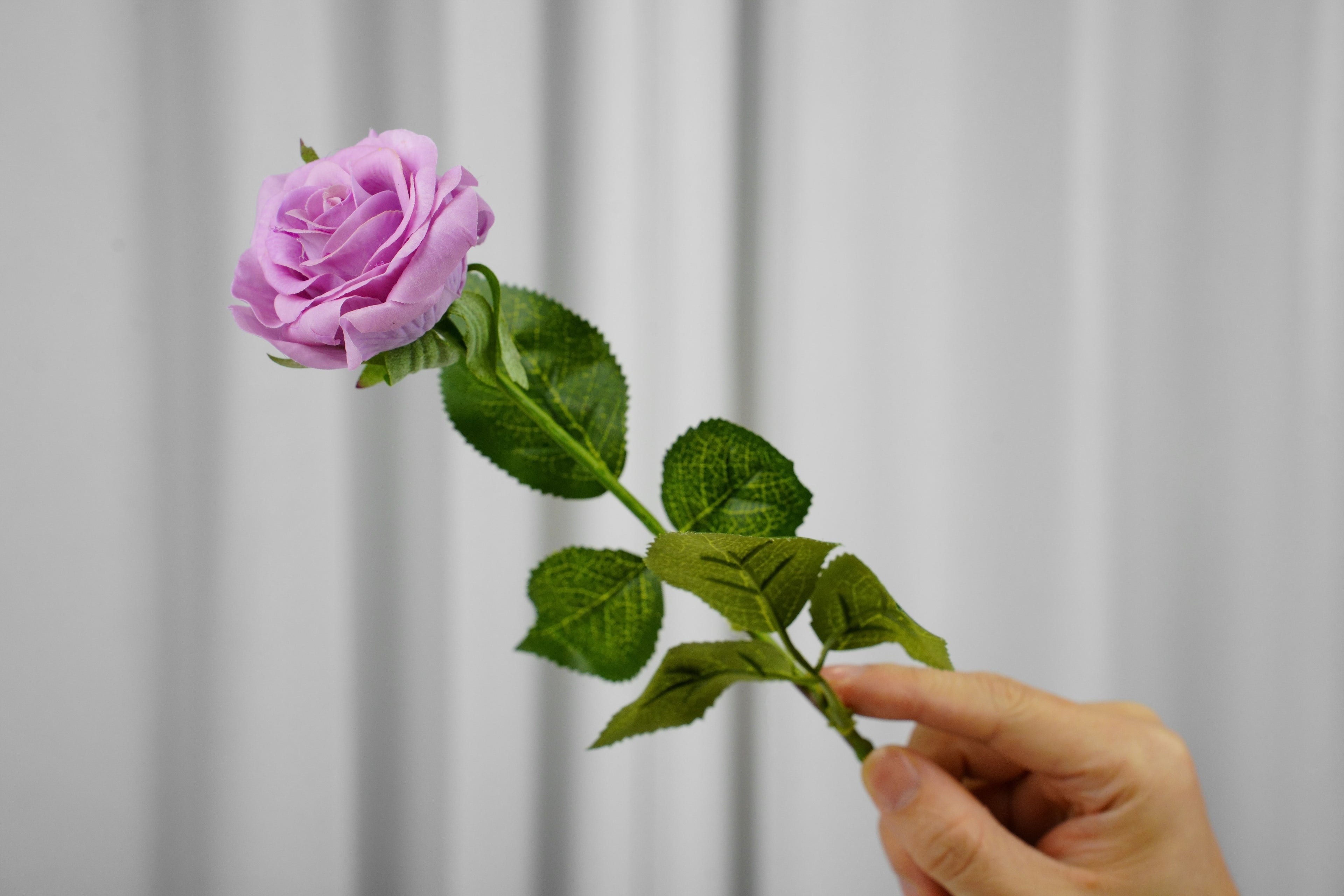 Rosalie Petite Rose Stem, 45 cm