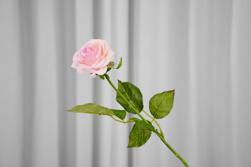 Rosalie Petite Rose Stem, 45 cm