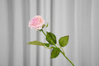Rosalie Petite Rose Stem, 45 cm