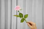 Rosalie Petite Rose Stem, 45 cm