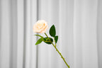 Rosalie Petite Rose Stem, 45 cm