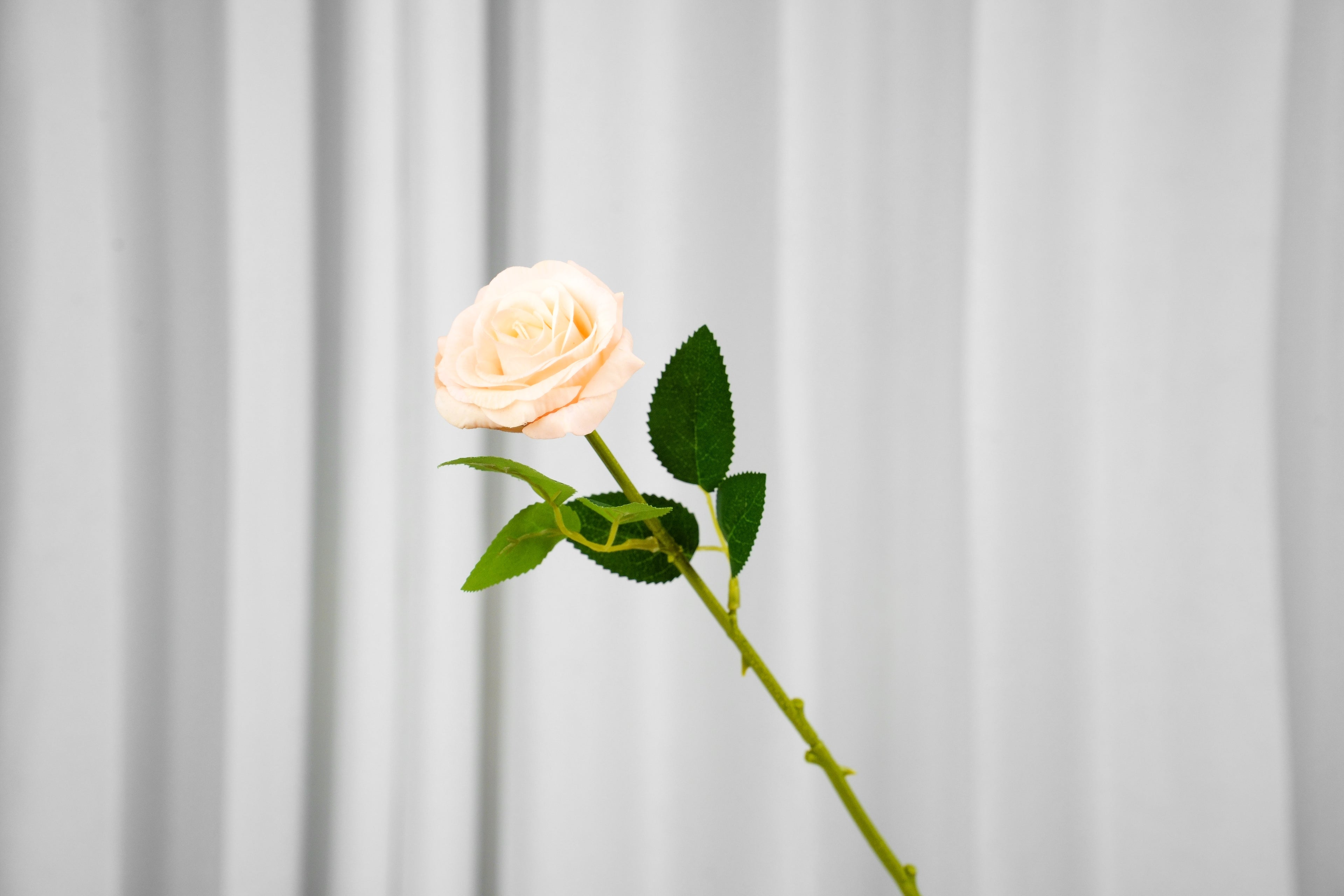 Rosalie Petite Rose Stem, 45 cm