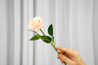 Rosalie Petite Rose Stem, 45 cm
