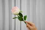 Aurelia Austin Rose Stem, 44 cm