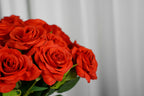 Rosalie Petite Rose Stem, 45 cm