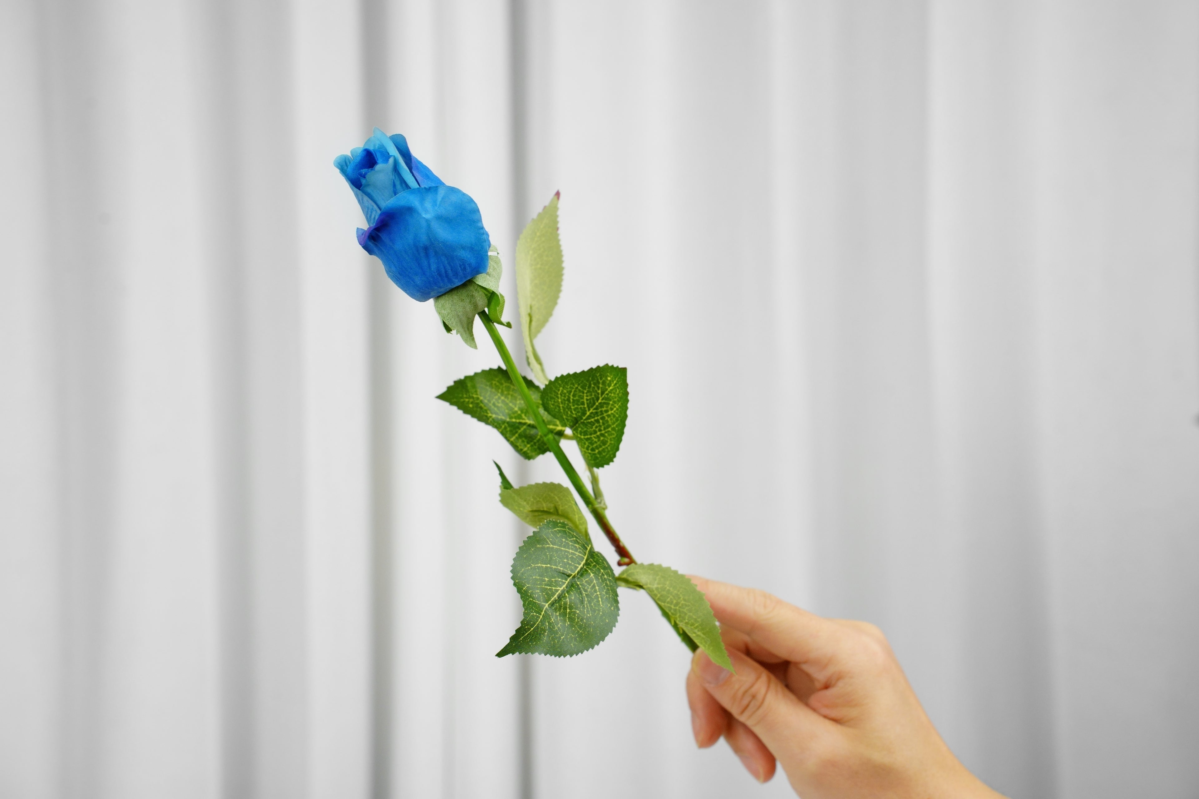 Rosalie Petite Rose Stem, 45 cm