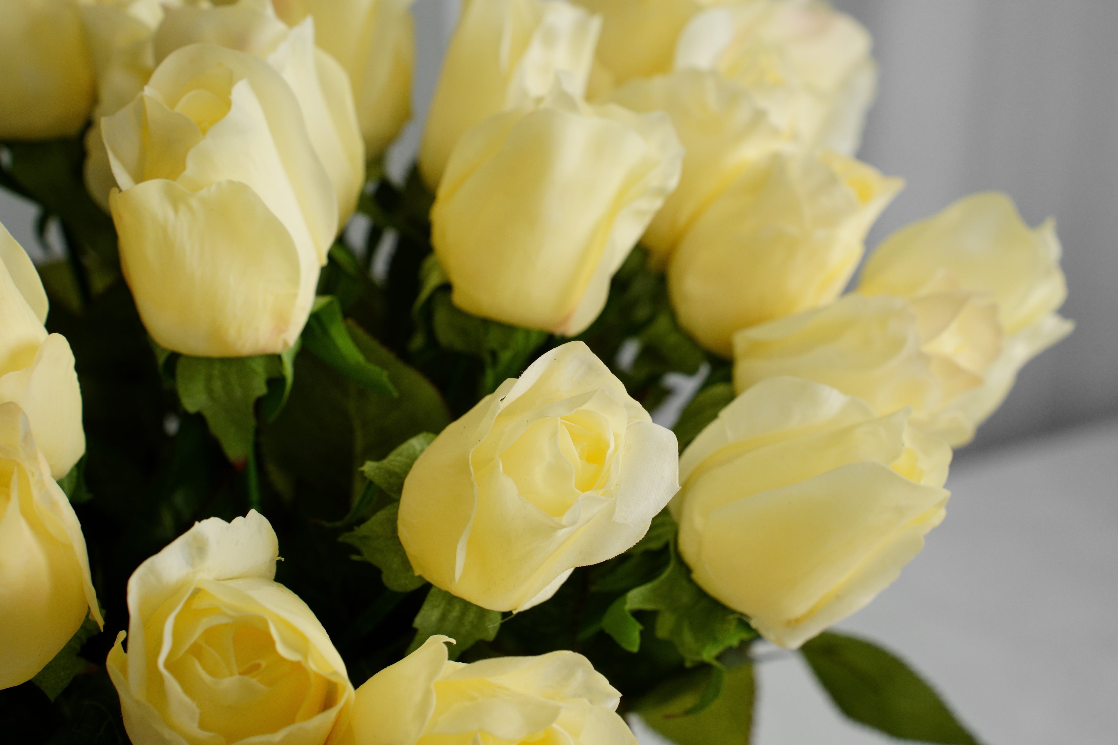Rosalie Petite Rose Stem, 45 cm