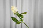 Rosalie Petite Rose Stem, 45 cm