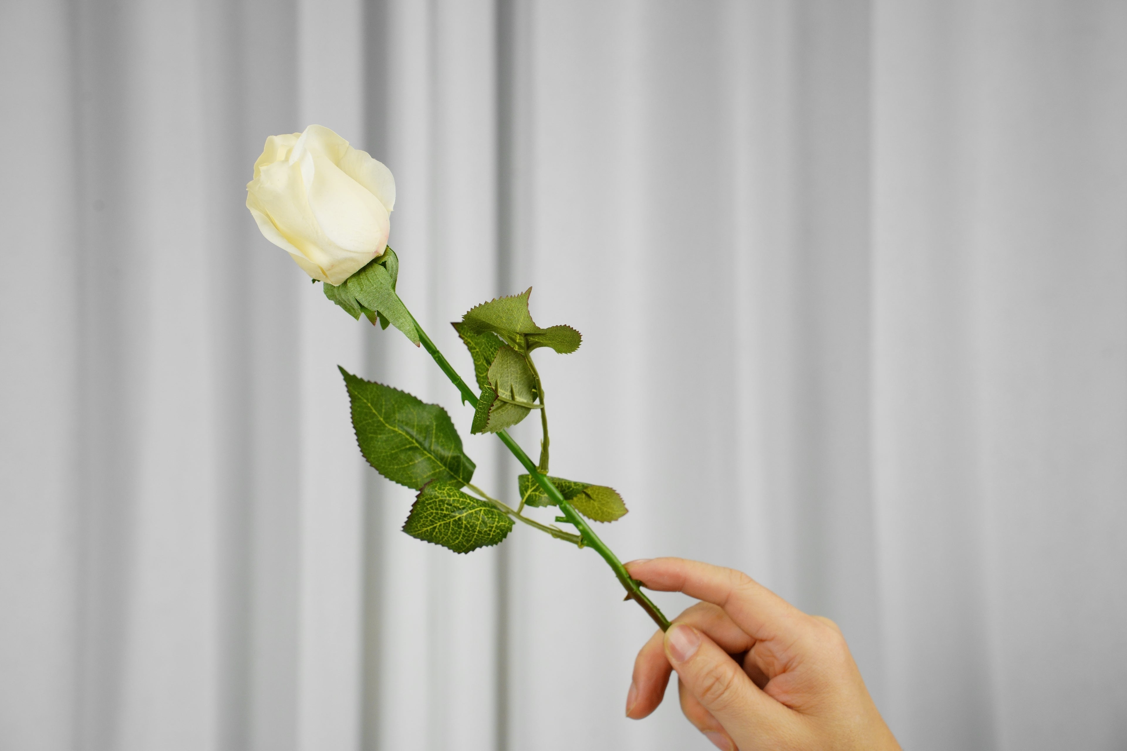 Rosalie Petite Rose Stem, 45 cm