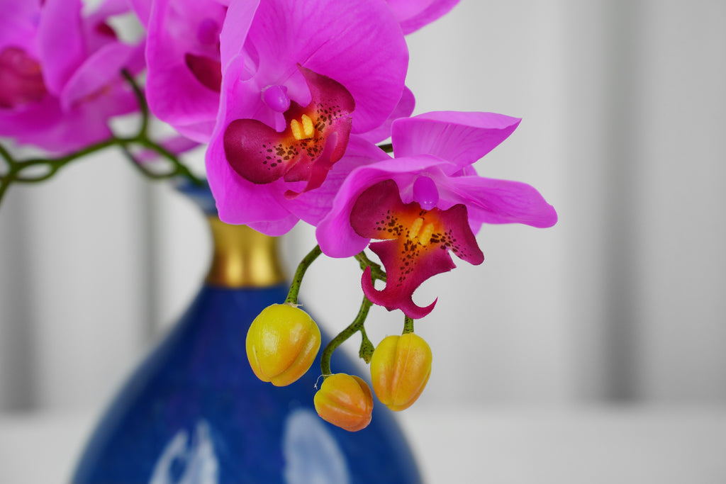 Petite Phalaenopsis Orchid Stem, 45 cm (5 heads)