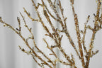 Crystal Snow Willow, 90-92cm (6 branches)