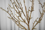 Crystal Snow Willow, 90-92cm (6 branches)