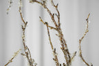 Crystal Snow Willow, 90-92cm (6 branches)
