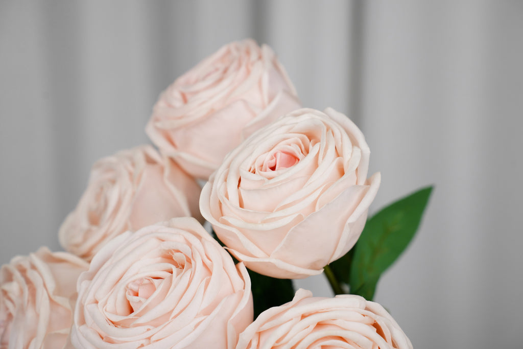 Empress Rose Stem, 44 cm