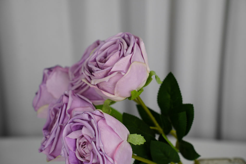 Empress Rose Stem, 44 cm
