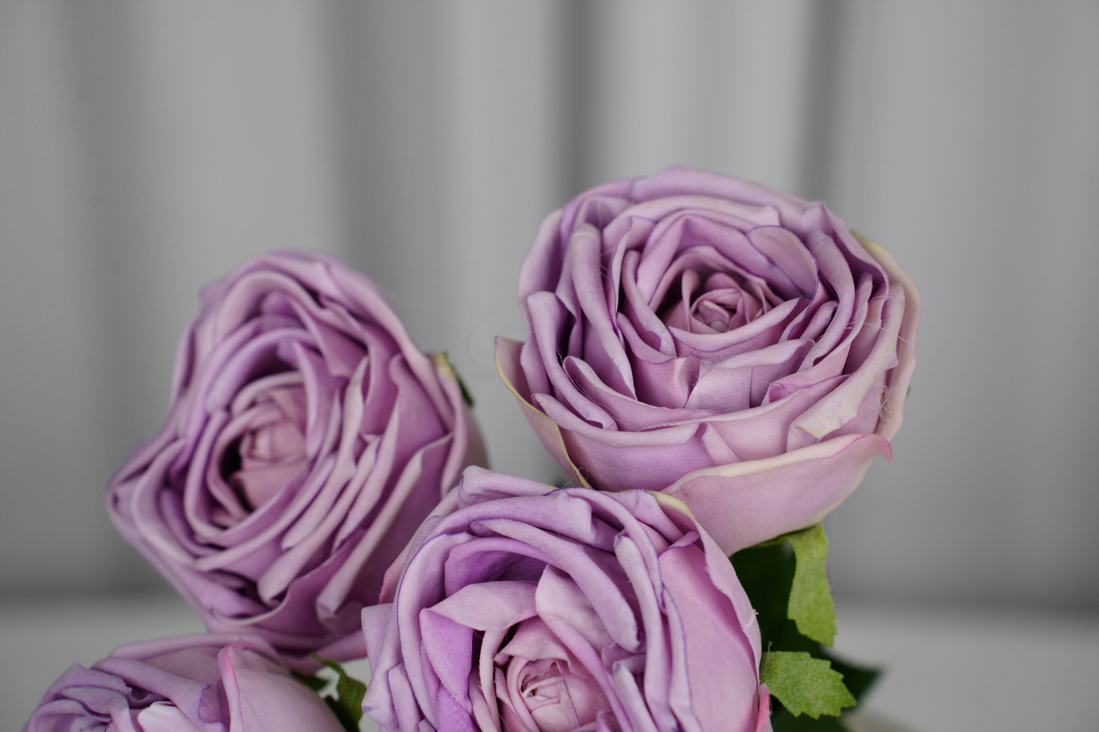 Empress Rose Stem, 44 cm