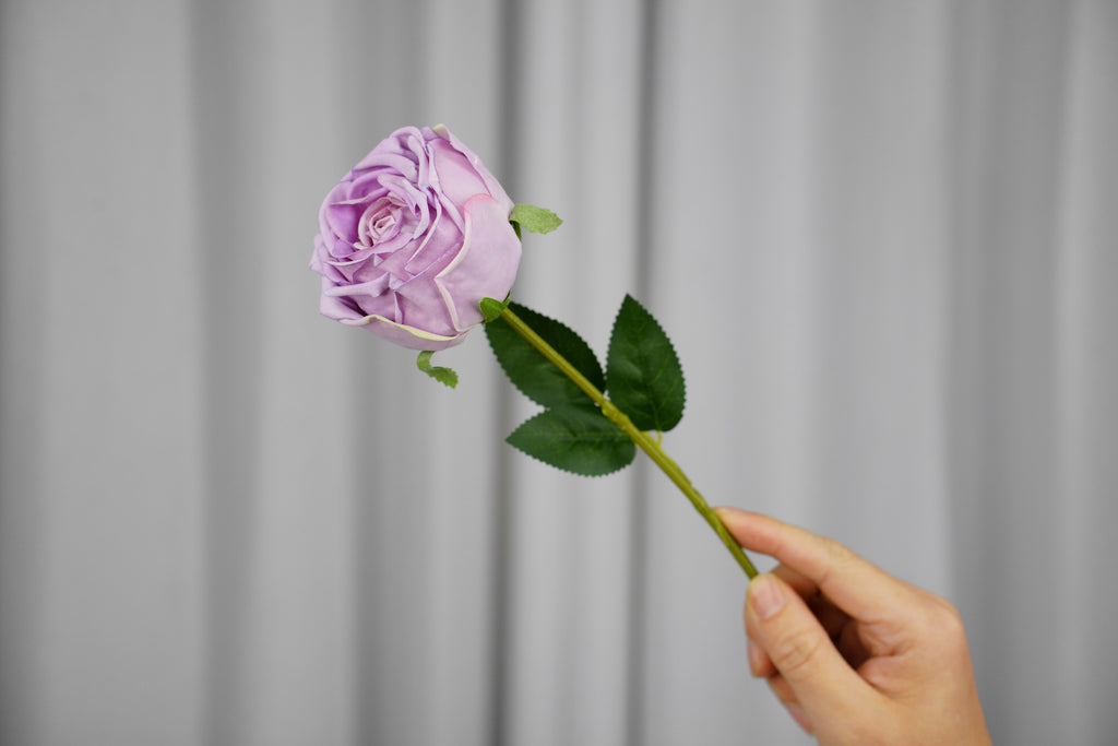Empress Rose Stem, 44 cm