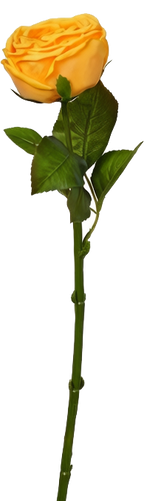 Empress Rose Stem, 44 cm