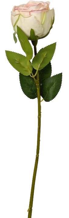 Empress Rose Stem, 44 cm