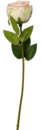 Empress Rose Stem, 44 cm