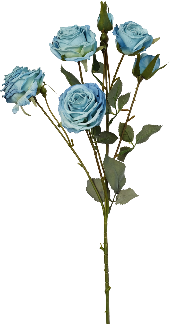 Vintage-Edge Garden Rose Stem, 66cm (6 heads)
