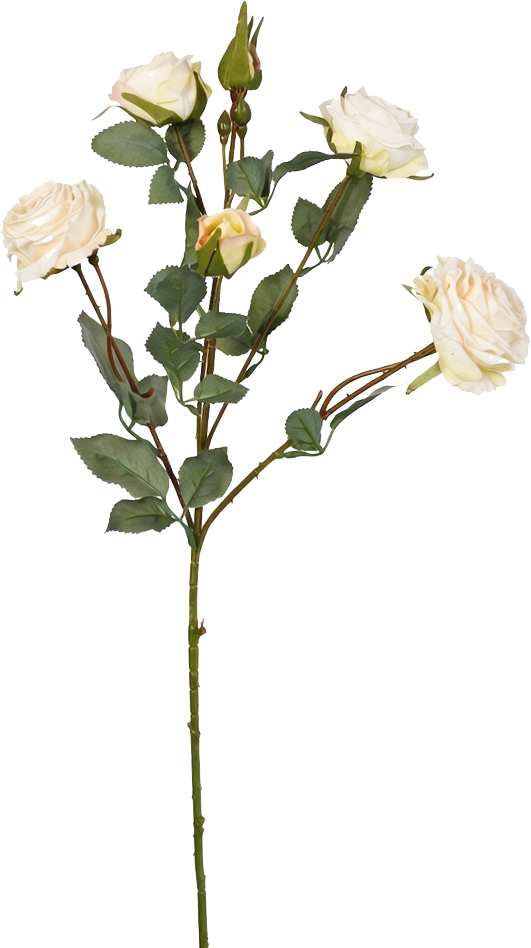 Vintage-Edge Garden Rose Stem, 66cm (6 heads)
