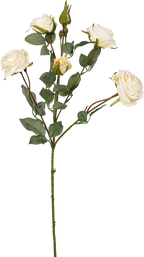 Vintage-Edge Garden Rose Stem, 66cm (6 heads)