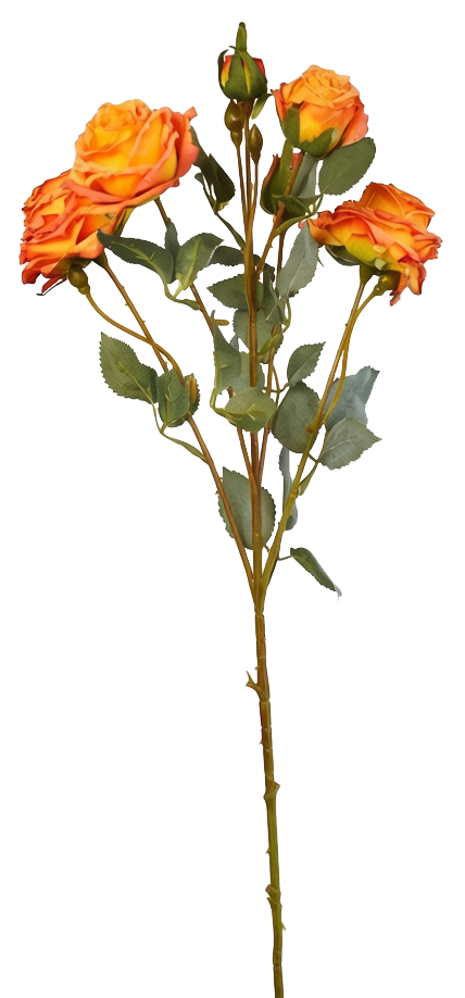 Vintage-Edge Garden Rose Stem, 66cm (6 heads)