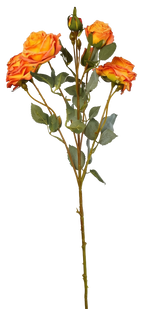 Vintage-Edge Garden Rose Stem, 66cm (6 heads)
