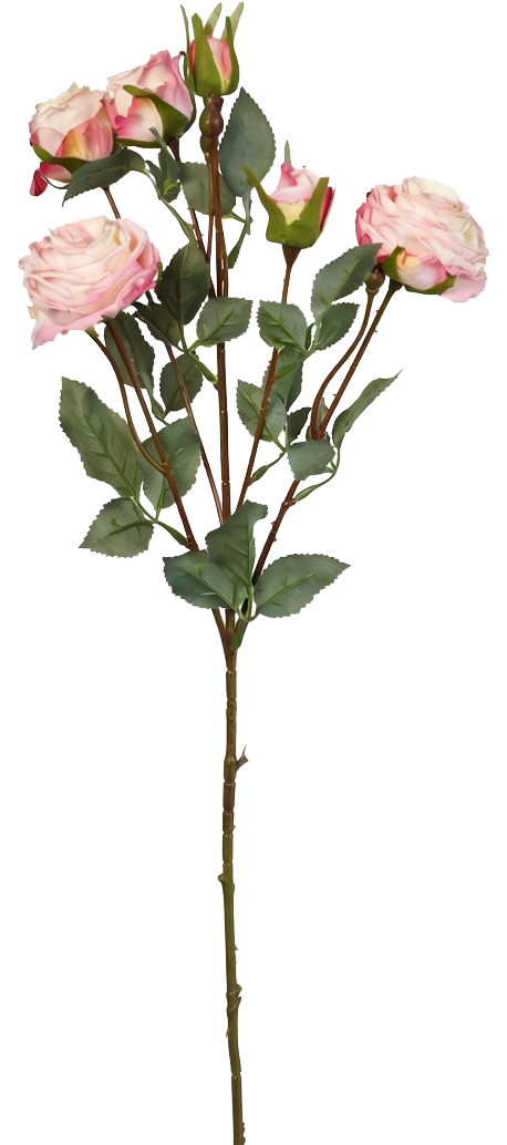 Vintage-Edge Garden Rose Stem, 66cm (6 heads)
