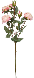 Vintage-Edge Garden Rose Stem, 66cm (6 heads)