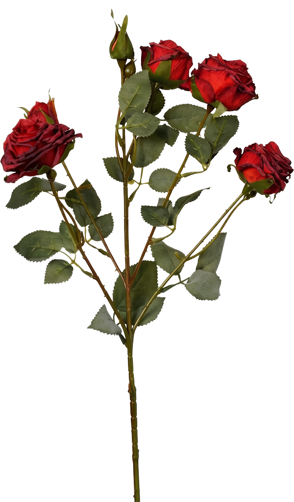 Vintage-Edge Garden Rose Stem, 66cm (6 heads)