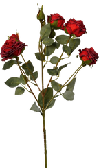 Vintage-Edge Garden Rose Stem, 66cm (6 heads)