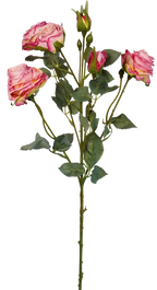 Vintage-Edge Garden Rose Stem, 66cm (6 heads)