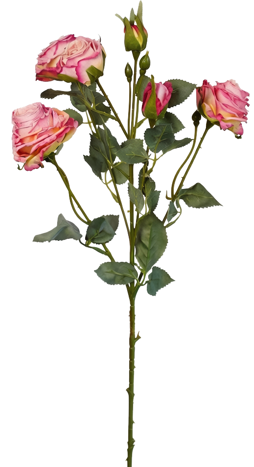 Vintage-Edge Garden Rose Stem, 66cm (6 heads)