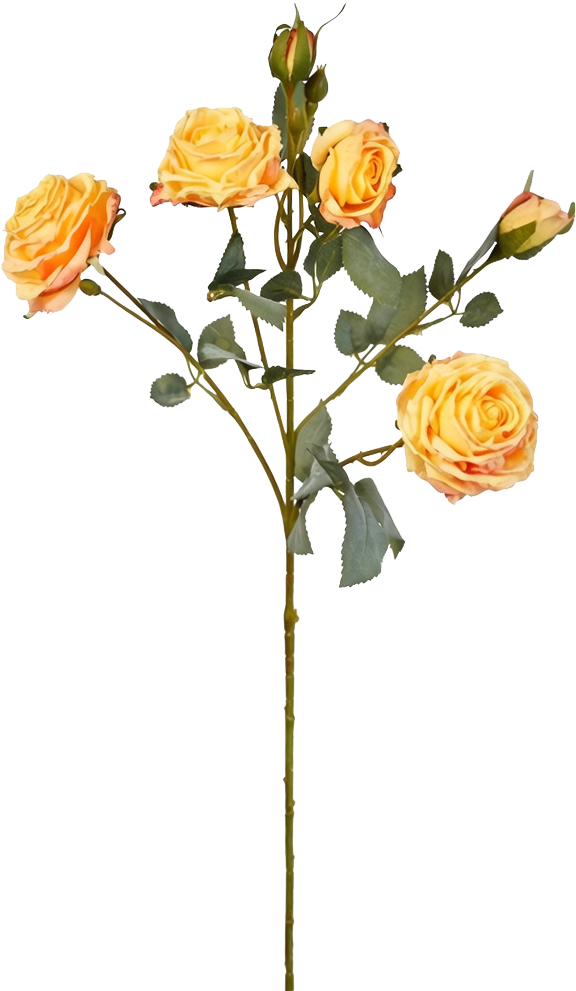 Vintage-Edge Garden Rose Stem, 66cm (6 heads)