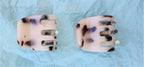 Savanna Mini Claw (2 colours)
