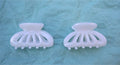 Shell Mini Claw