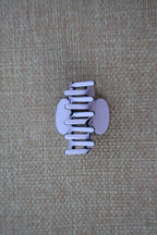 Petite Clip Pair (5 colours)