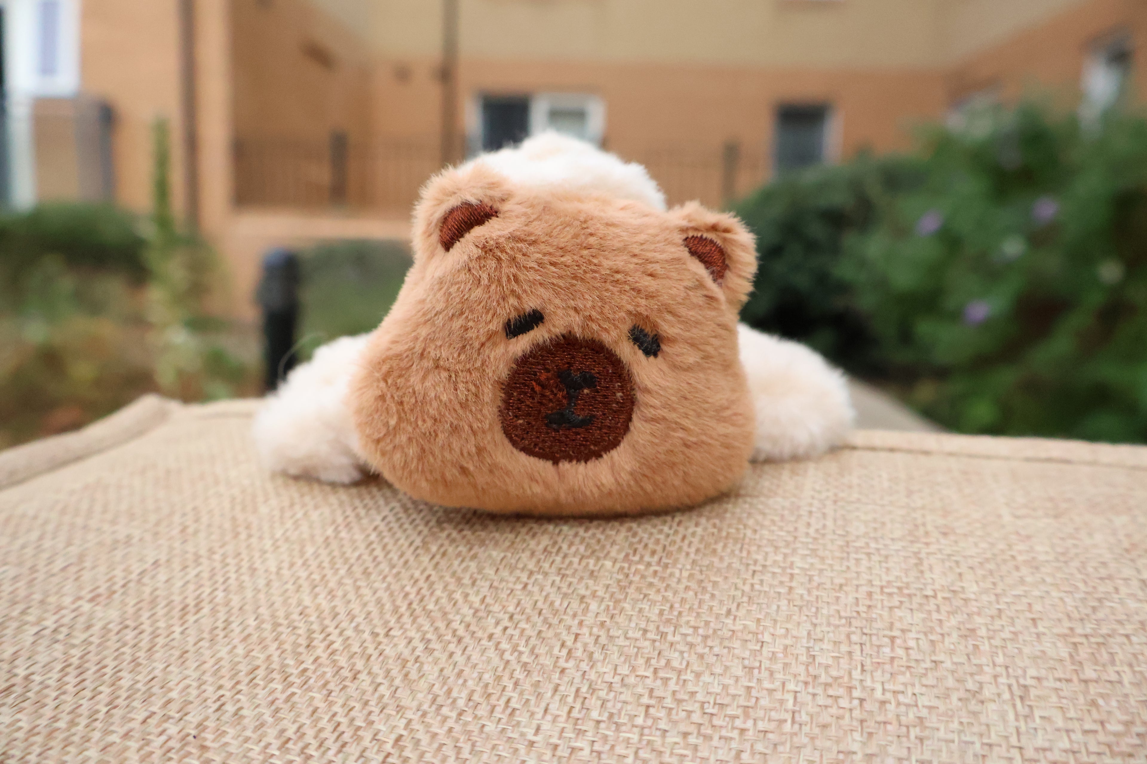 Capybara Charm Clip