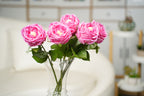 Aurelia Austin Rose Stem, 44 cm (Single Head)