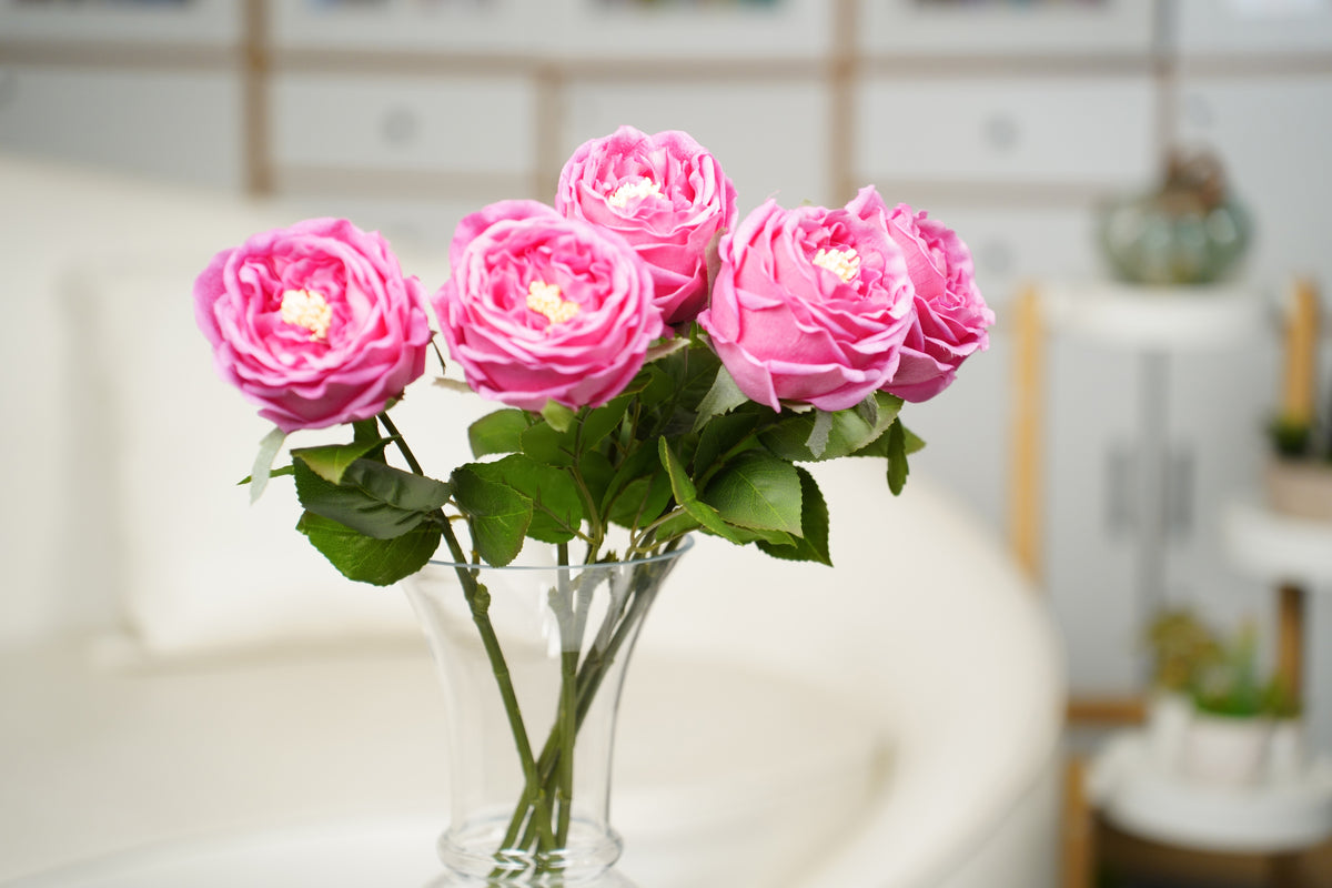 Aurelia Austin Rose Stem, 44 cm (Single Head)