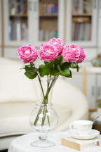 Aurelia Austin Rose Stem, 44 cm (Single Head)