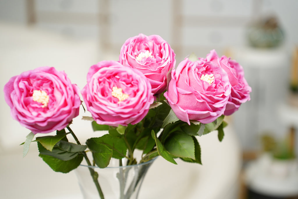 Aurelia Austin Rose Stem, 44 cm (Single Head)