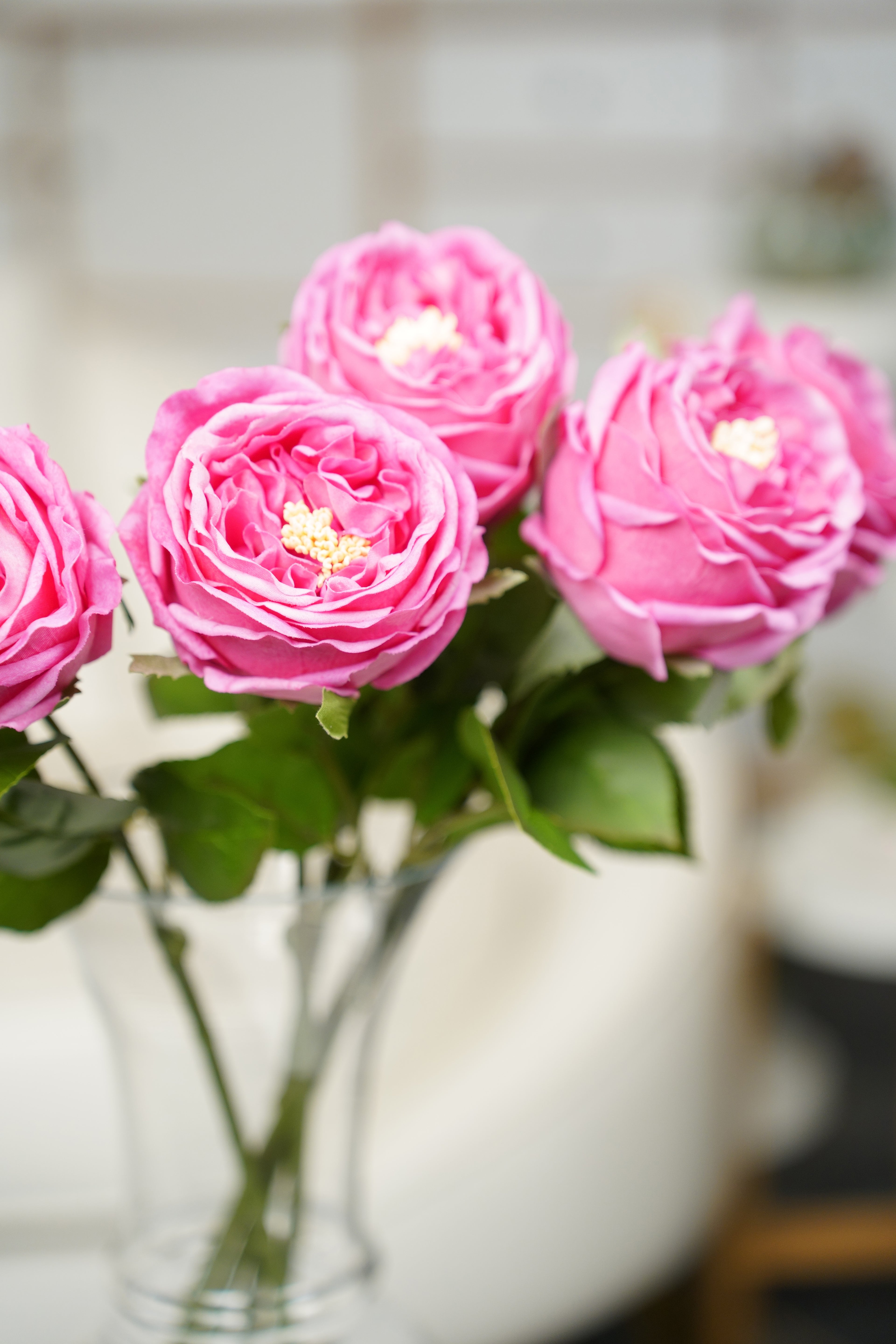 Aurelia Austin Rose Stem, 44 cm (Single Head)